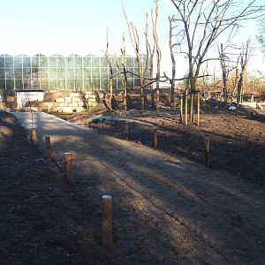 Construction update orangutan project - Base for new road?, 2022-02-12