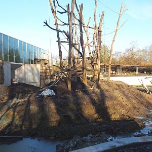 Construction update orangutan project, 2022-02-12