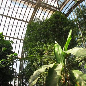 America Tropicana interior