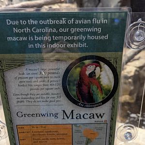 New Green wing Macaw signage at the Greensboro Science Center