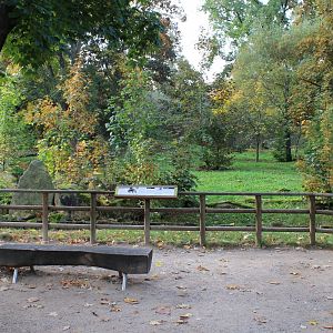 Brown hyena enclosure