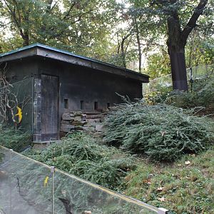 White-nosed coati enclosure