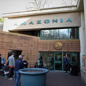 Amazonia: Entrance