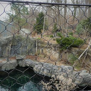 American Trail - Seal Exhibit (Foreground), Eagle Exhibit (Background)