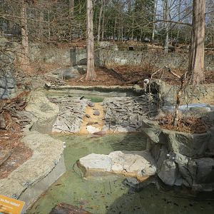 American Trail - North American Beaver, Ducks Exhibit