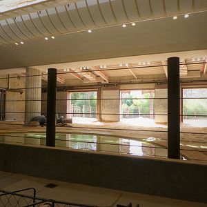 Elephant Trails - Elephant Community Center - Indoot Quarters