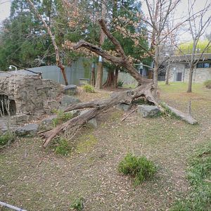 Asia Trail - Giant Panda Exhibit 1