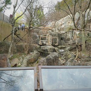 Asia Trail - Himalayan Red Panda Exhibit