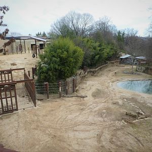 Elephant Trails - View from Bridge