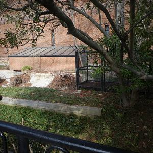 Reptile Discovery Center - American Alligator Exhibit