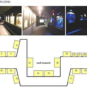 Map of Mouse House (2016)