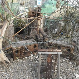 Eurasian Harvest Mouse (Micromys minutus) Enclosure