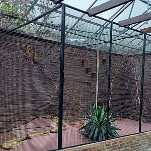Australian Outback aviary