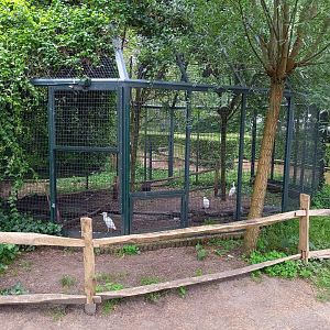 Cattle egret aviary