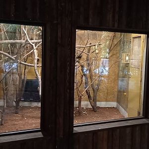 Squirrel monkey indoor-enclosure