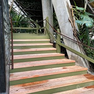 New Stairs in Indo-Malaya Pavilion