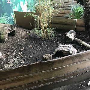 One of the 3-banded armadillo enclosures