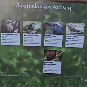 Australasian Aviary Placard January 2022