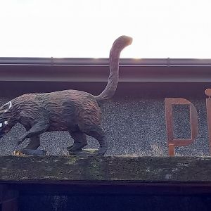 Coati-statue on the entrance