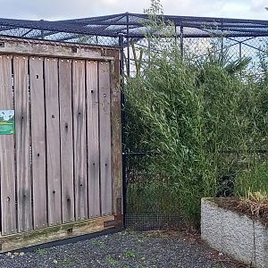 Entrance Walk-through aviary