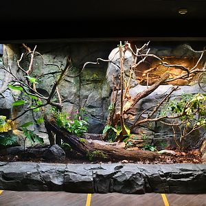 Reptopia - Asia-Pacific exhibit