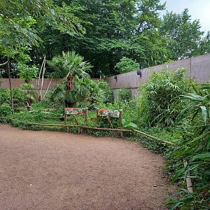 Walls and signs Lemur Walk-through enclosure