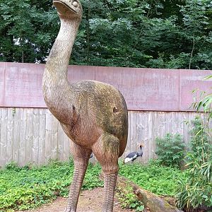 Real-life sized statue Elephant bird