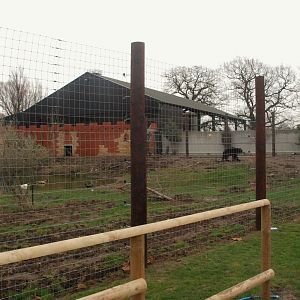 Indian Sloth Bear Enclosure at Johnson's of Old Hurst, 19th February 2022
