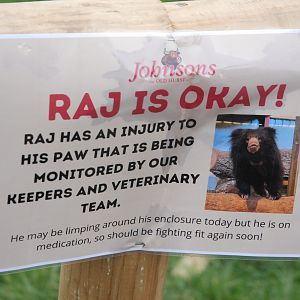 Signage Example (Sloth Bear Injury) at Johnson's of Old Hurst, 19th February 2022