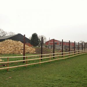 Indian Sloth Bear Enclosure at Johnson's of Old Hurst, 19th February 2022