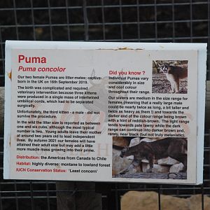 Signage Example (Puma) at Johnson's of Old Hurst, 19th February 2022