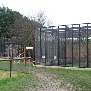 Enclosures for Skunk and Ringtail Nearing Completion at Hamerton, 19th February 2022