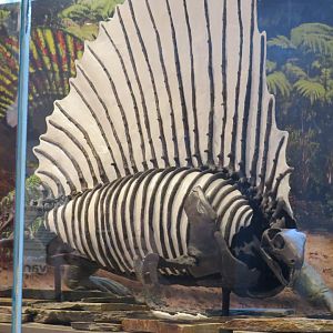 Edaphosaurus