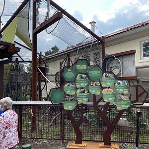Primate Canopy Trail