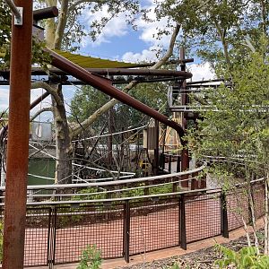 Primate Canopy Trail