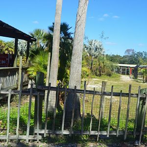 Africa - Former Aviary Location
