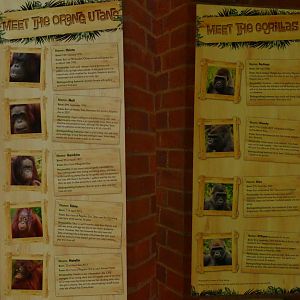 Ape House signs, February 2022