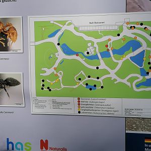 Bush map Ant species distribution 2022