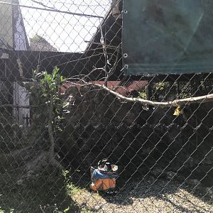 Entrance - Macaw Exhibit