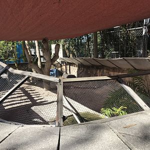 Entrance - Red-Footed Tortoise Exhibit