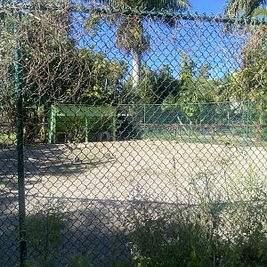 Agile Wallaby/Gopher Tortoise Exhibit