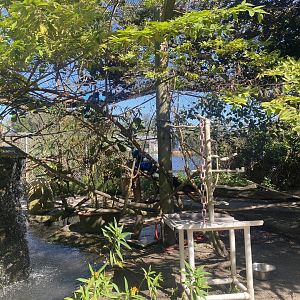 Smaller Walk-Through Aviary