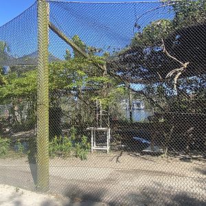 Smaller Walk-Through Aviary