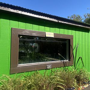 Eurasian Eagle Owl Exhibit