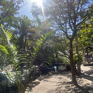Large Walk-Through Aviary