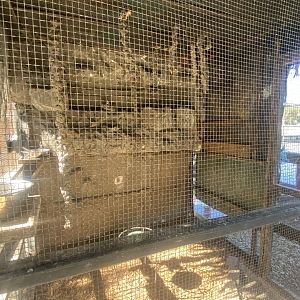 Former Egyptian Fruit Bat Exhibit