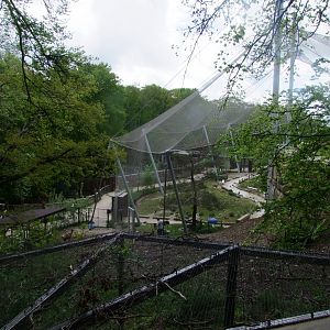 large aviary