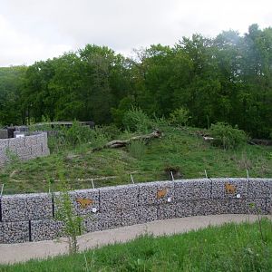 Enclosure for Canis lupus