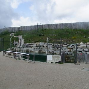 Enclosure for Lutra lutra