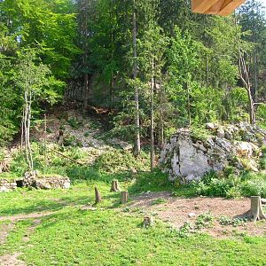 Enclosure for Ursus arctos